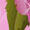 pattern20